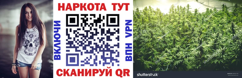 Наркошоп Жуков Alpha-PVP Каннабис МЕФ ГАШИШ Cocaine
