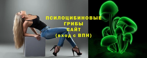PSILOCYBIN Беломорск