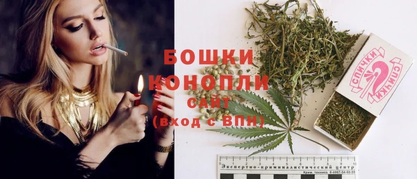 PSILOCYBIN Беломорск