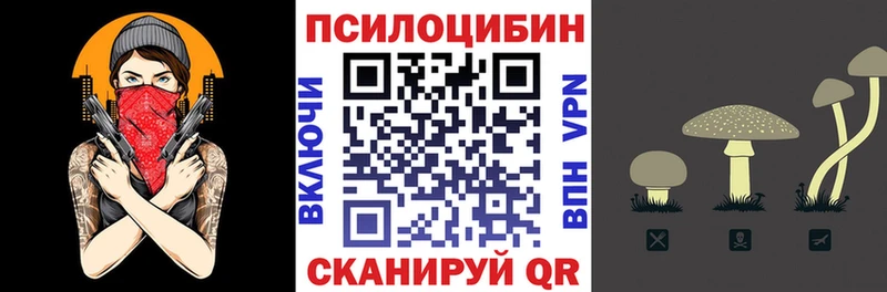 Псилоцибиновые грибы Magic Shrooms  где купить наркотик  МЕГА ONION  Жуков 